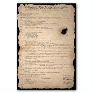 beerpongconstitution.jpg